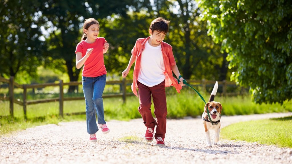 passear com cachorro