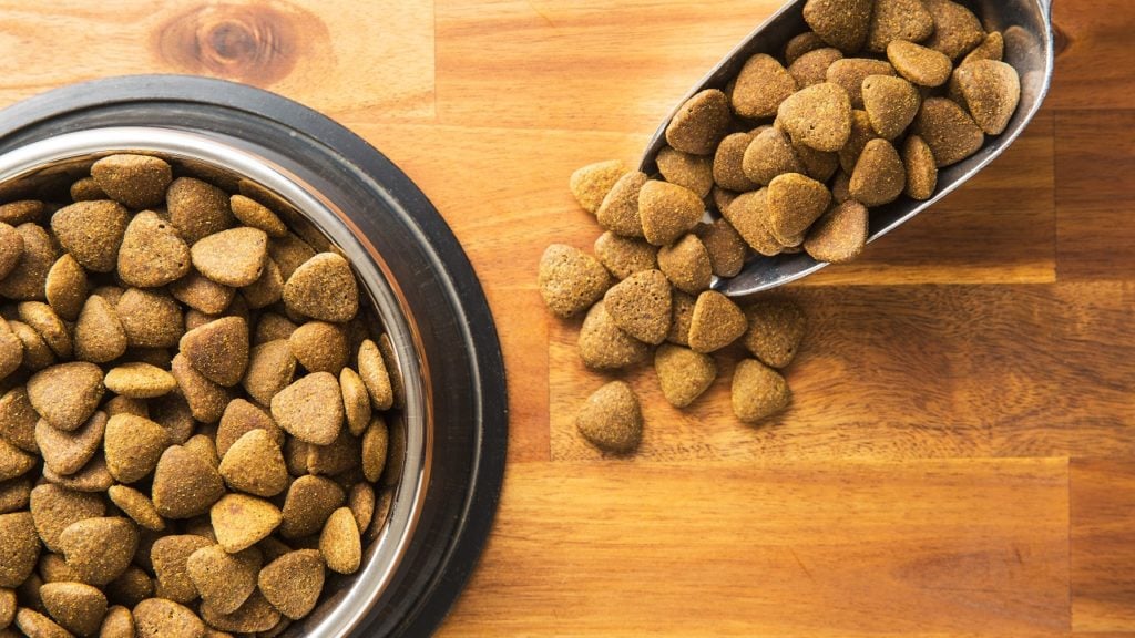 diferença entre ração premium e super premium