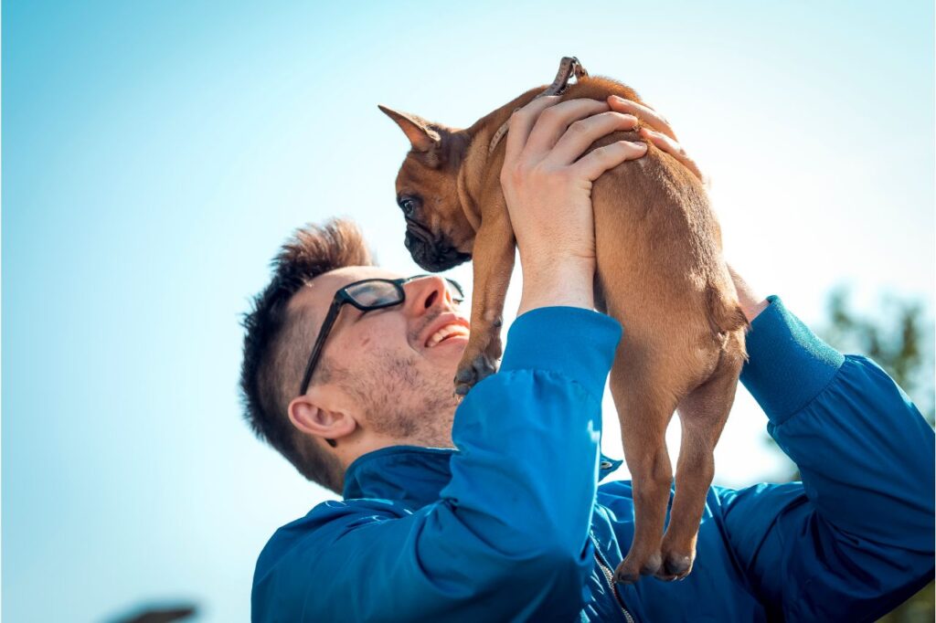 Psicologia canina: 10 livros para entender mais sobre o comportamento do seu dog