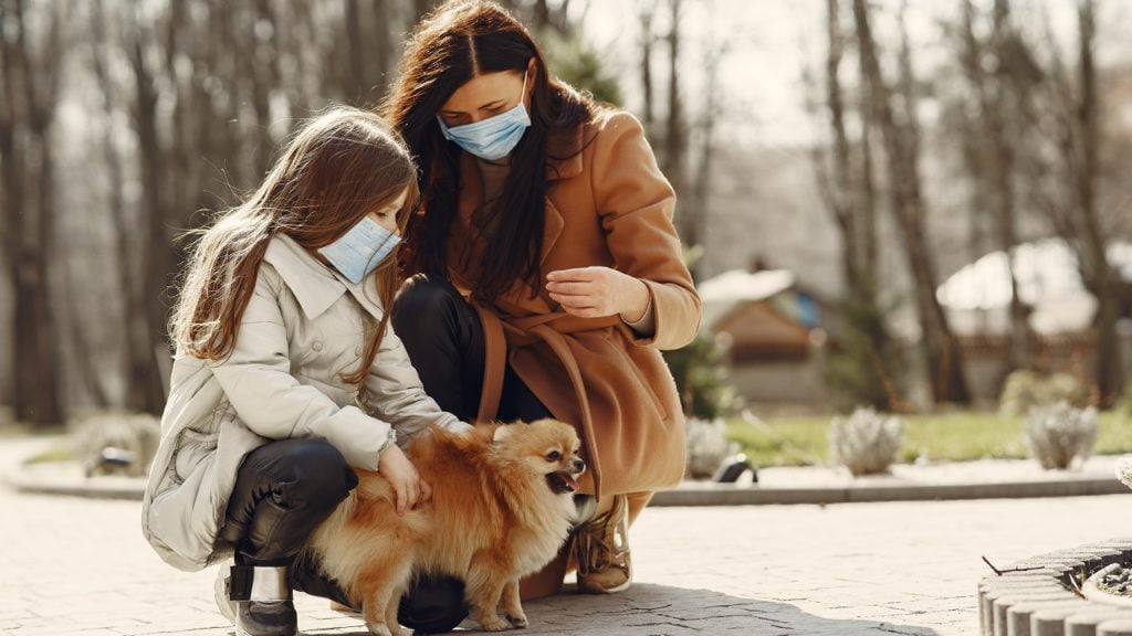 limpar as patas do cachorro