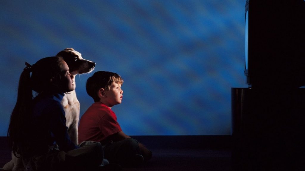 Será que cachorro assiste TV mesmo?