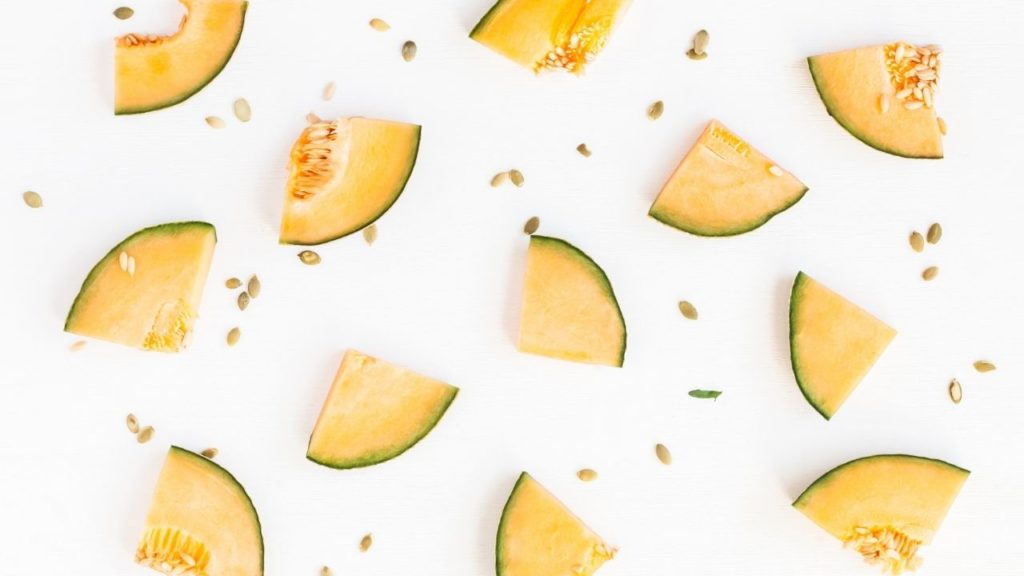 Cachorro pode comer melão?