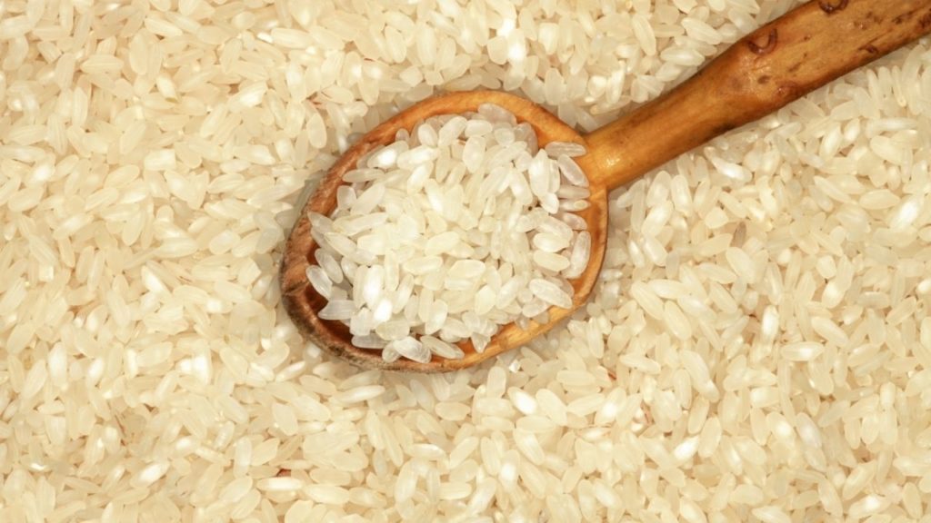arroz para cachorro