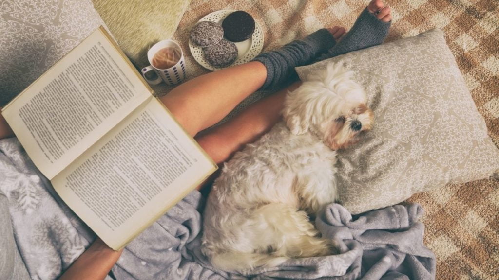 4 livros sobre cachorro para se emocionar!