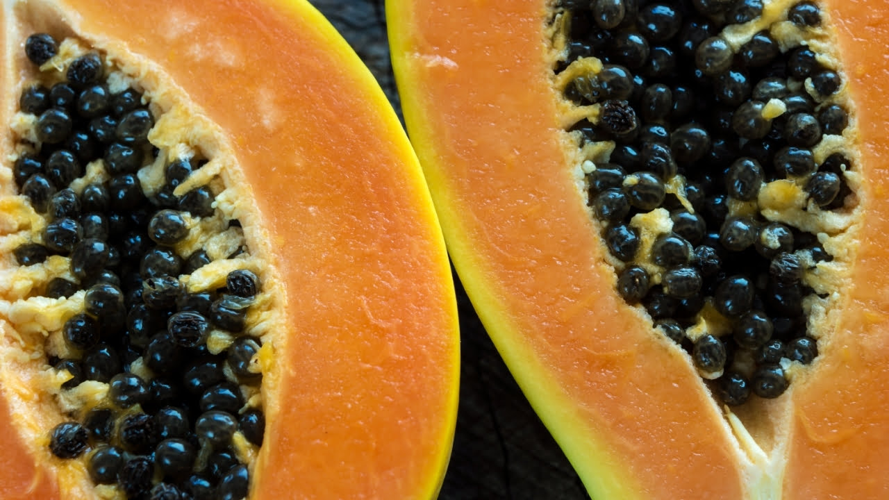 Cachorro pode comer mamão: descubra como inserir essa fruta na dieta do