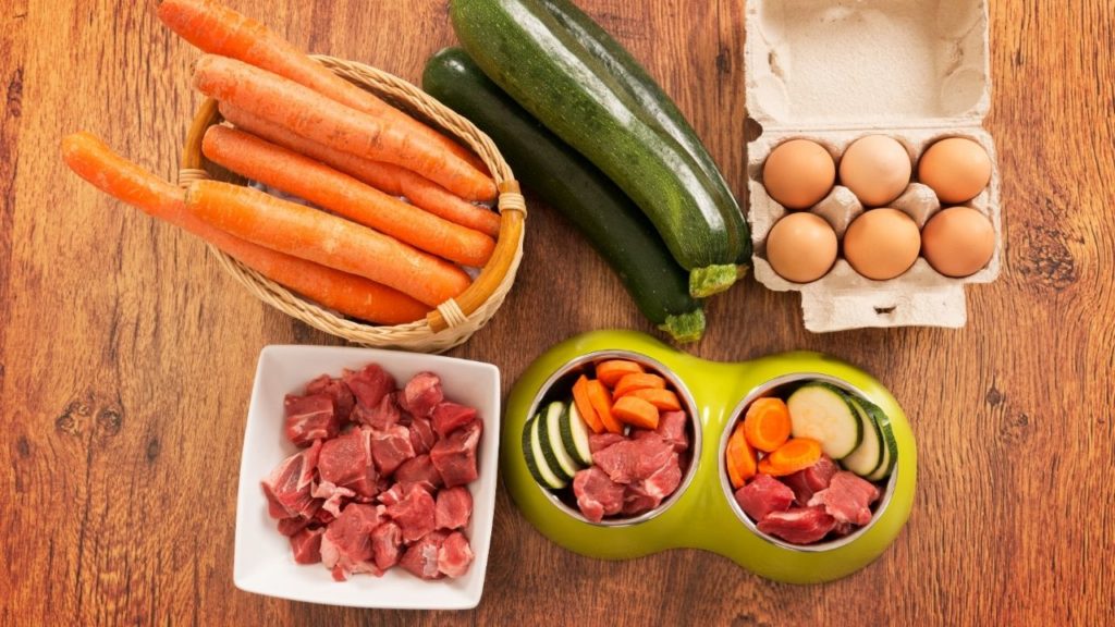 Como fazer uma dieta crua para cães?