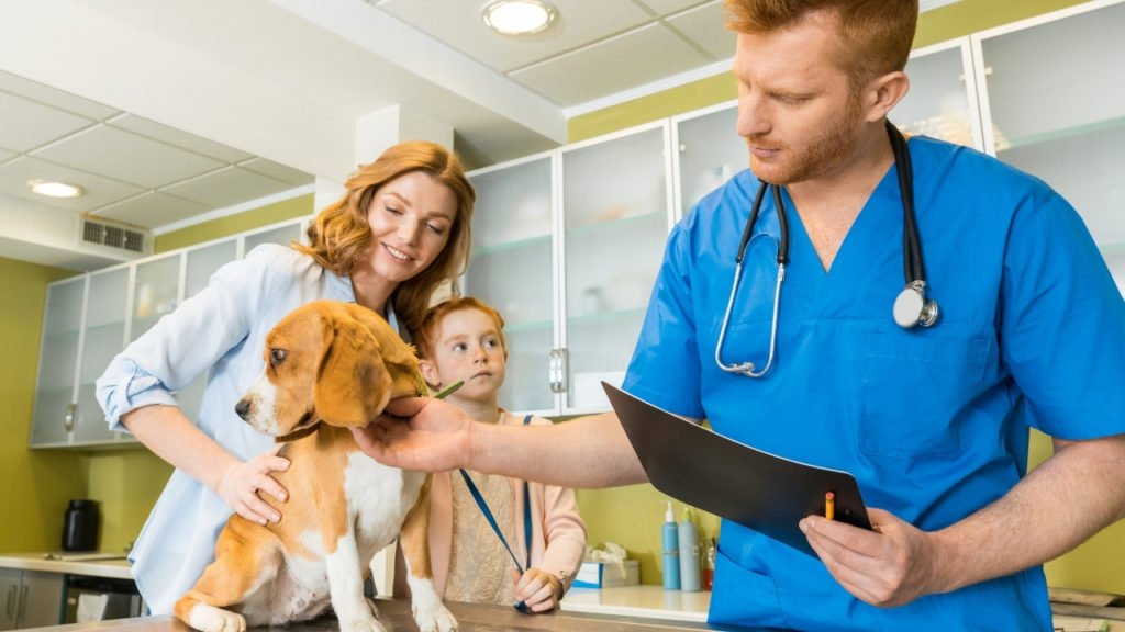 Como saber se o vermífugo fez efeito?