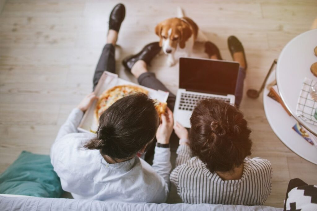 Descubra se os cachorros podem comer pizza