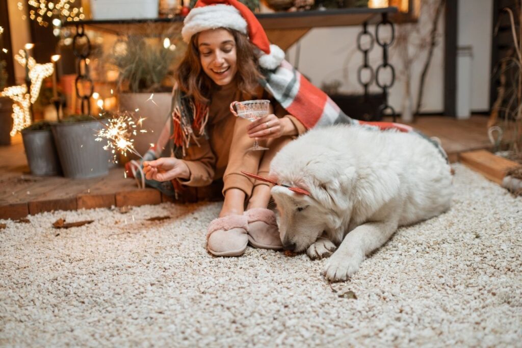 Cachorro com medo de fogos de artifício: como lidar com as festividades?
