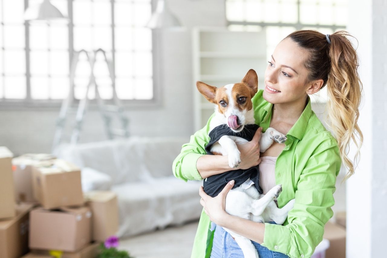 Como adaptar cachorro em nova casa?