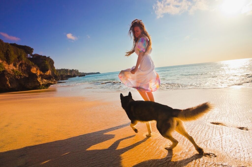 Como planejar viagens com cachorro?