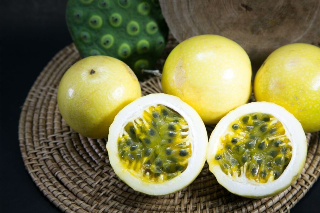 Cachorro pode comer maracujá?