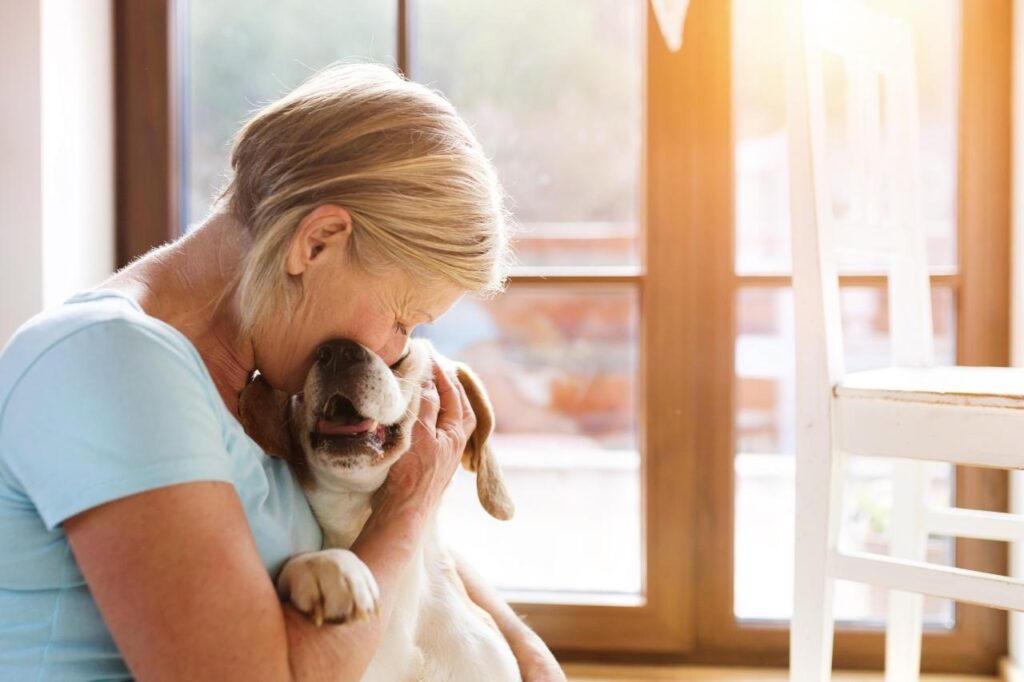 8 raças de cachorros para idosos