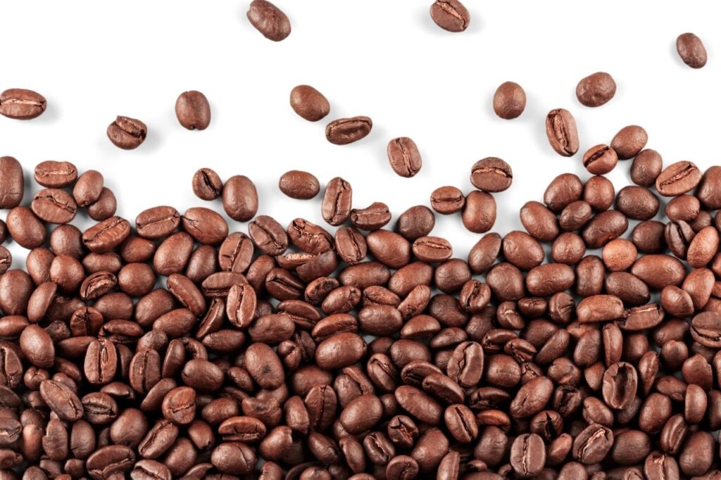 Cachorro pode tomar café?