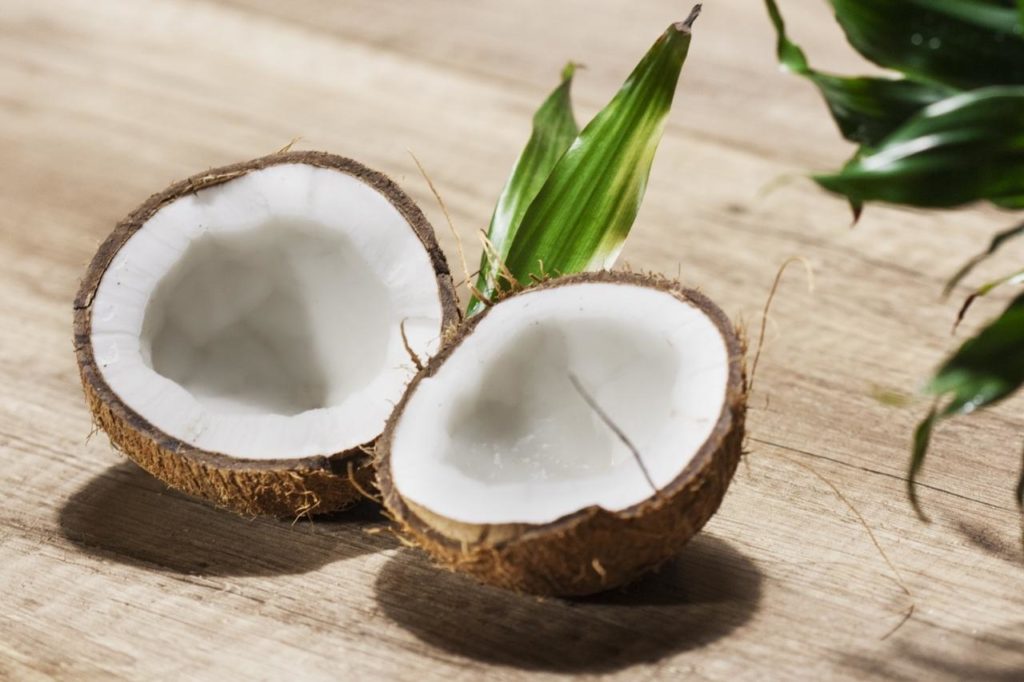 Meu cachorro pode comer coco seco?