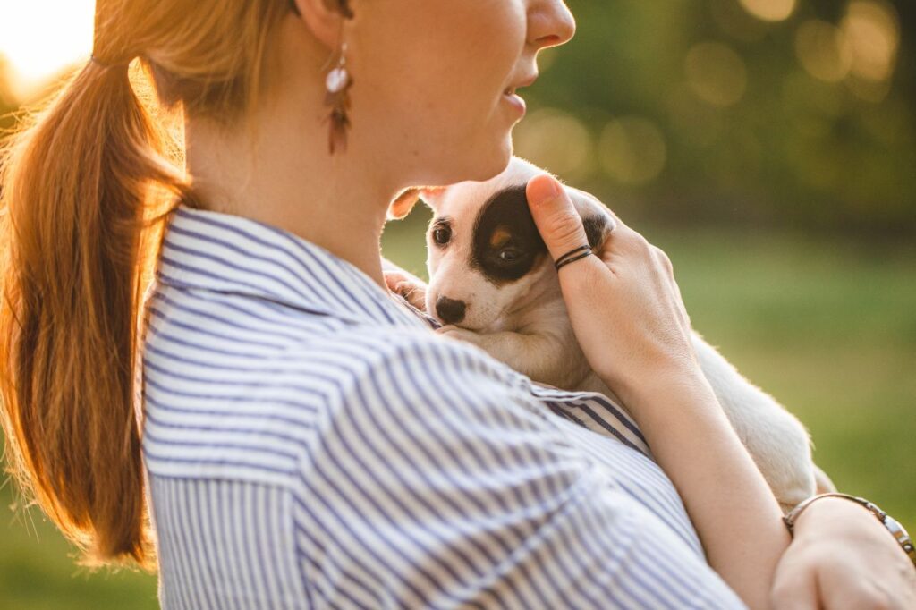 Afinal, filhote de cachorro pode tomar sol?