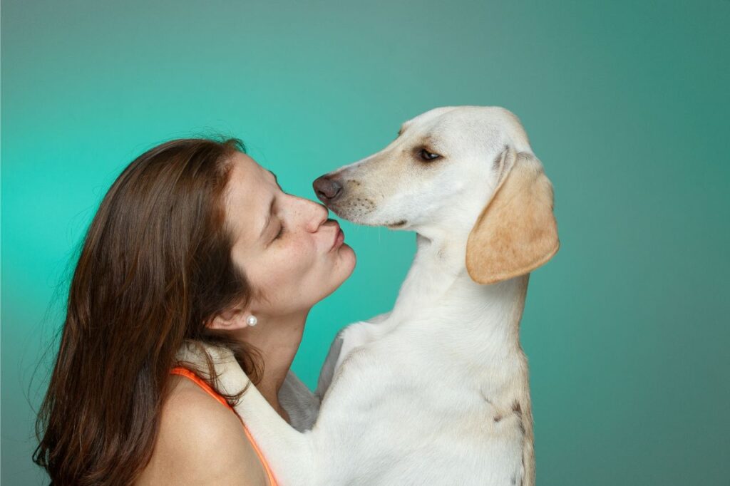 Tudo que você precisa saber sobre adoção de cachorro