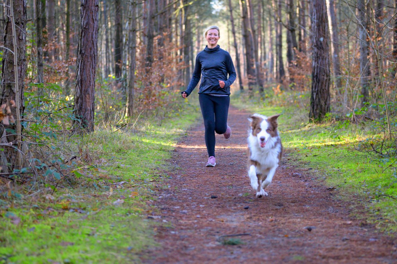 Atividade física para cachorro: 5 ideias para fazer seu aumigo perder peso