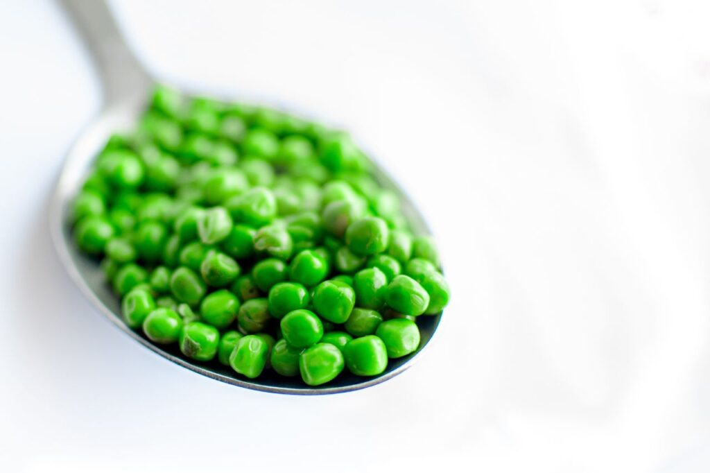 Você já se perguntou se cachorro pode comer ervilha? Descubra!