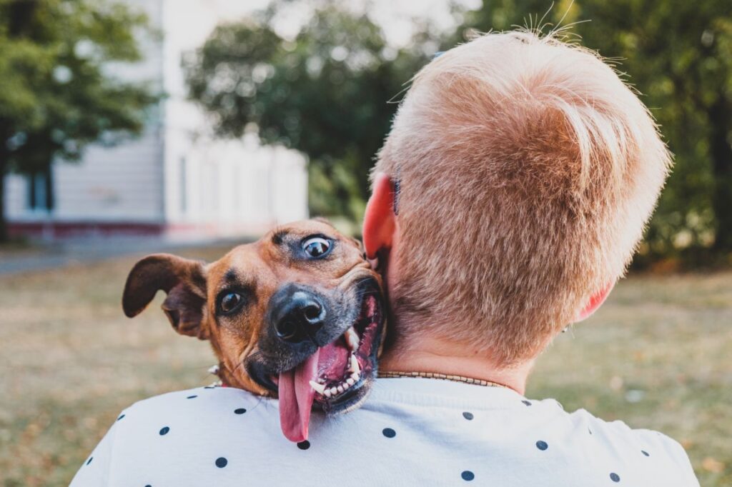 A importância de uma adoção responsável