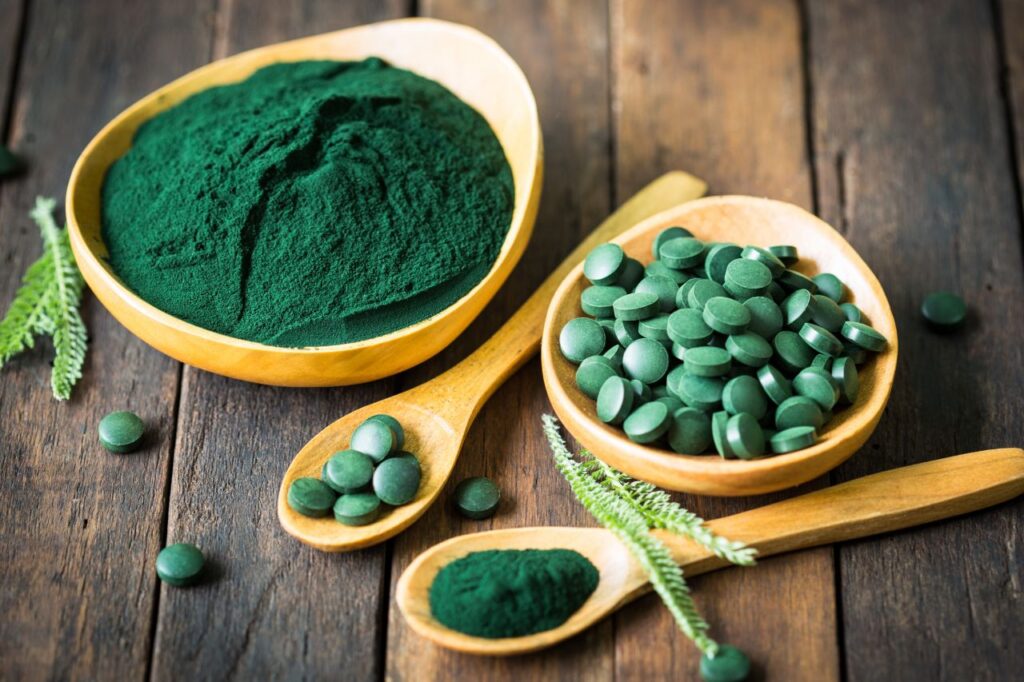 Cães podem consumir spirulina?