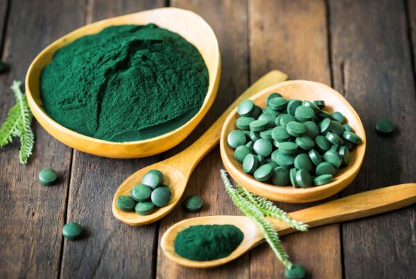 Cães podem consumir spirulina?