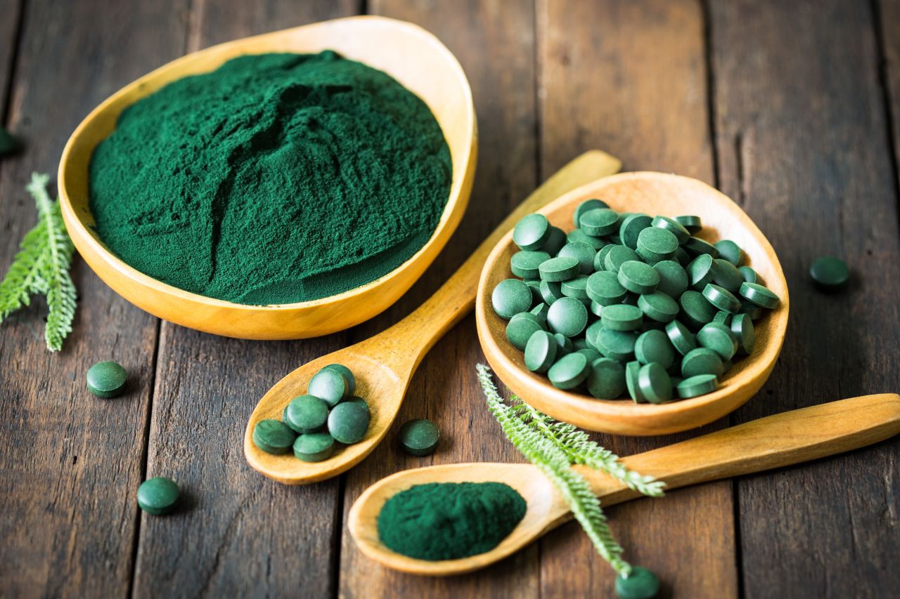 Cães podem consumir spirulina?